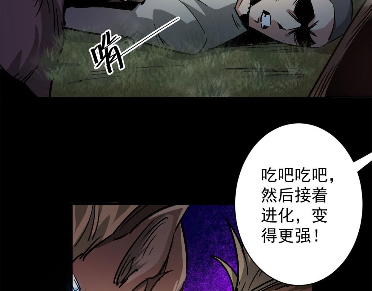 81 猪群134