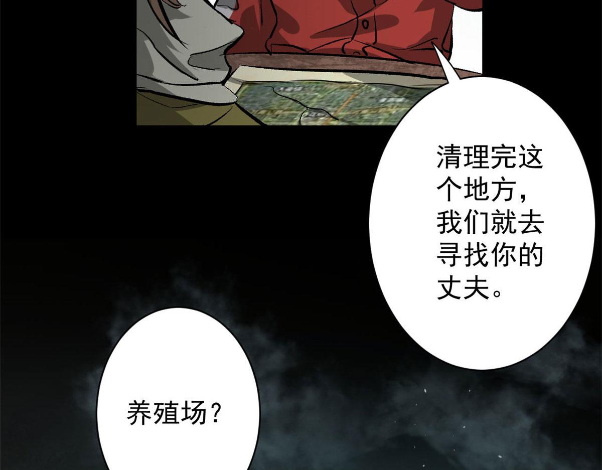 81 猪群97