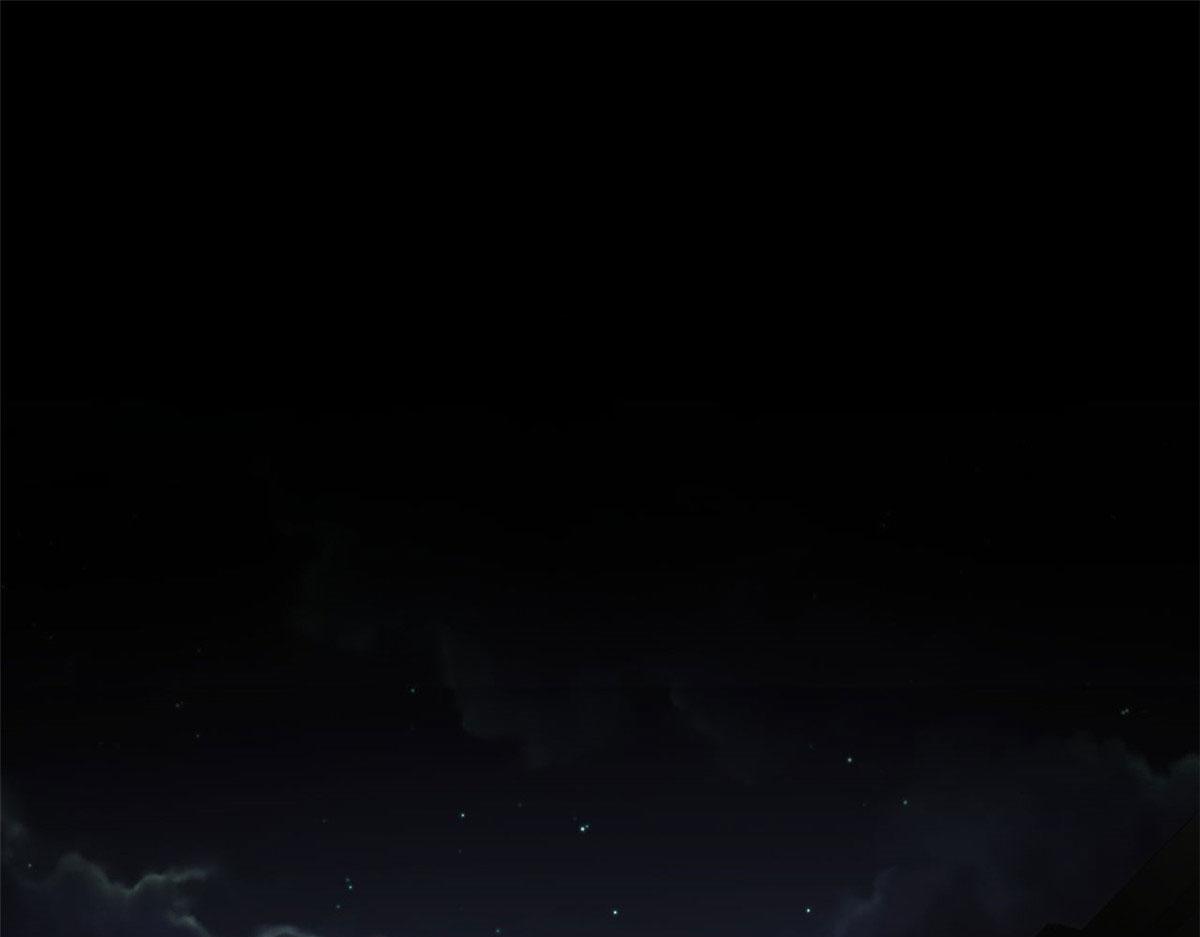 81 猪群88