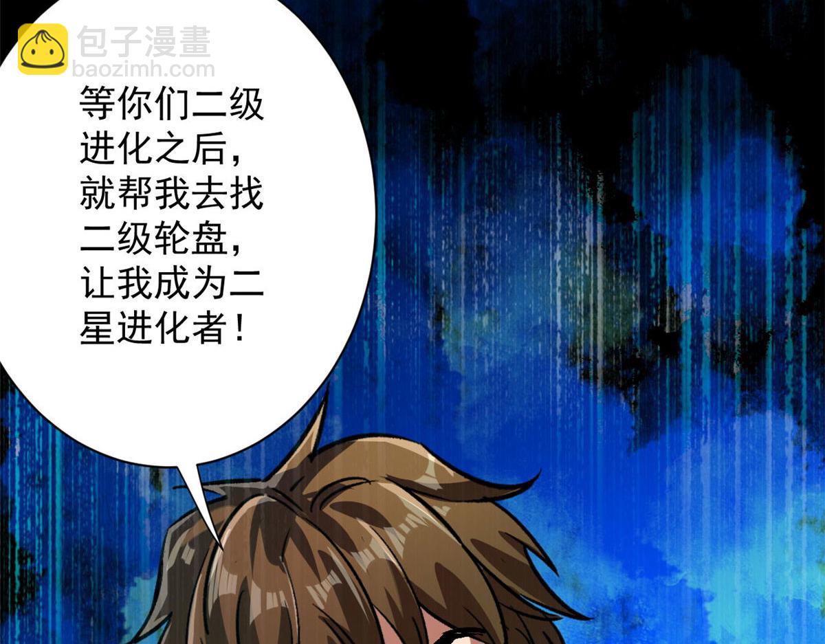 81 猪群137