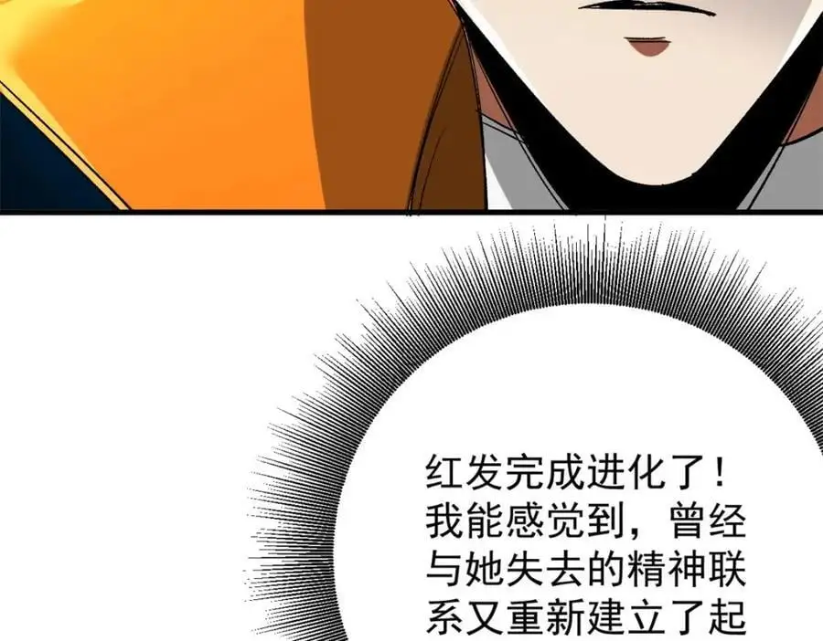 201 双双进化15