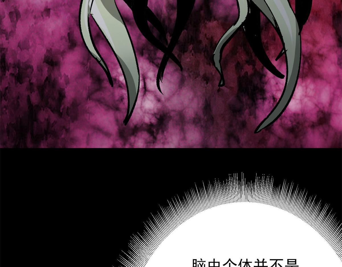 107 脑虫115