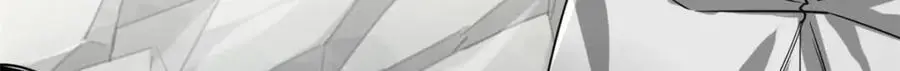 205 借势108