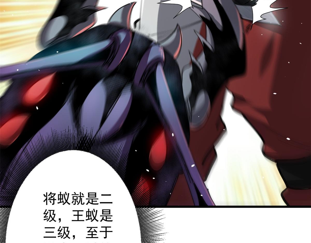 55 第二职业 园丁43