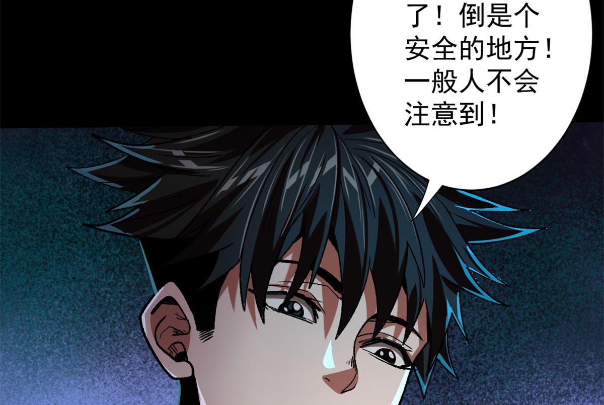 14 计划有变81