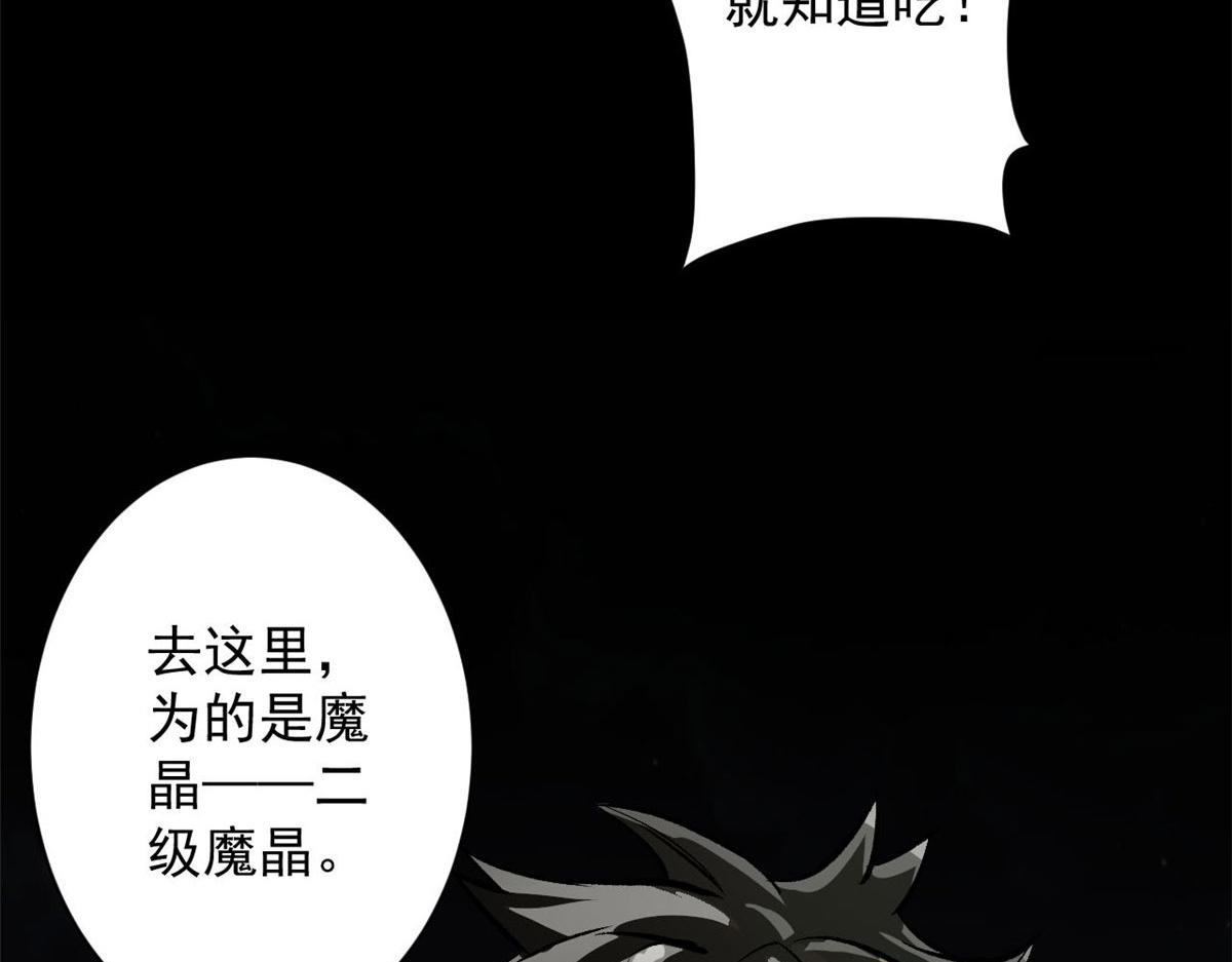 81 猪群104