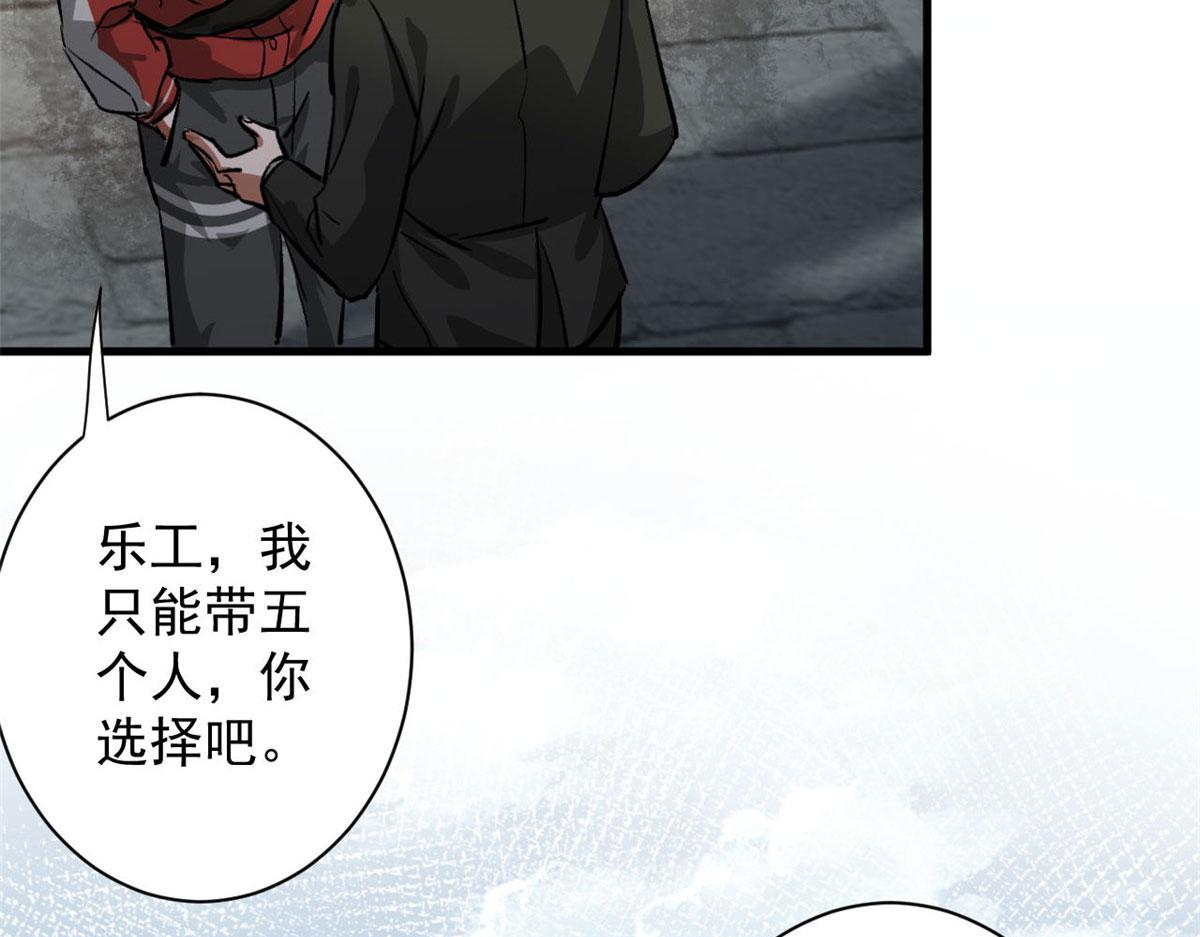 81 猪群82