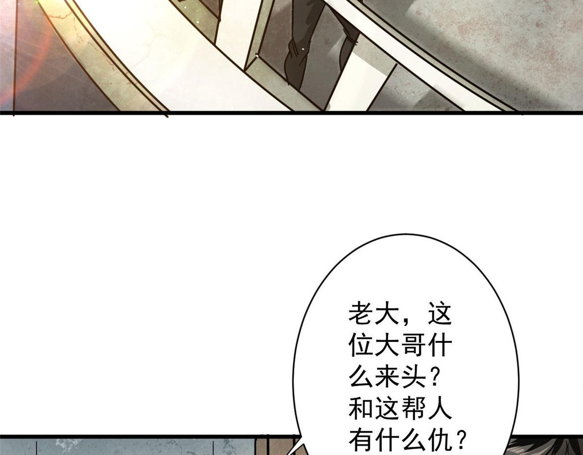 81 猪群49