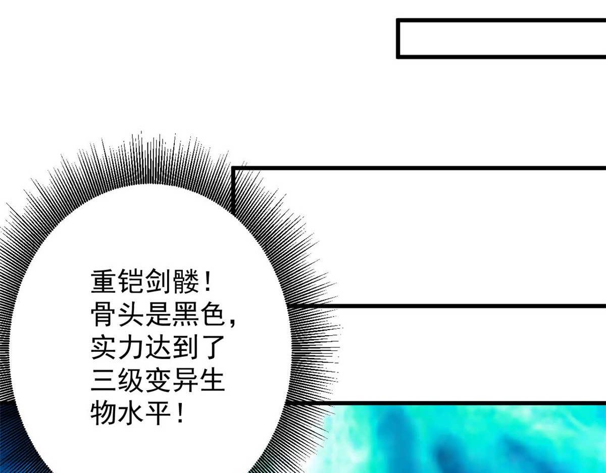 117 最后一个奖励图案71