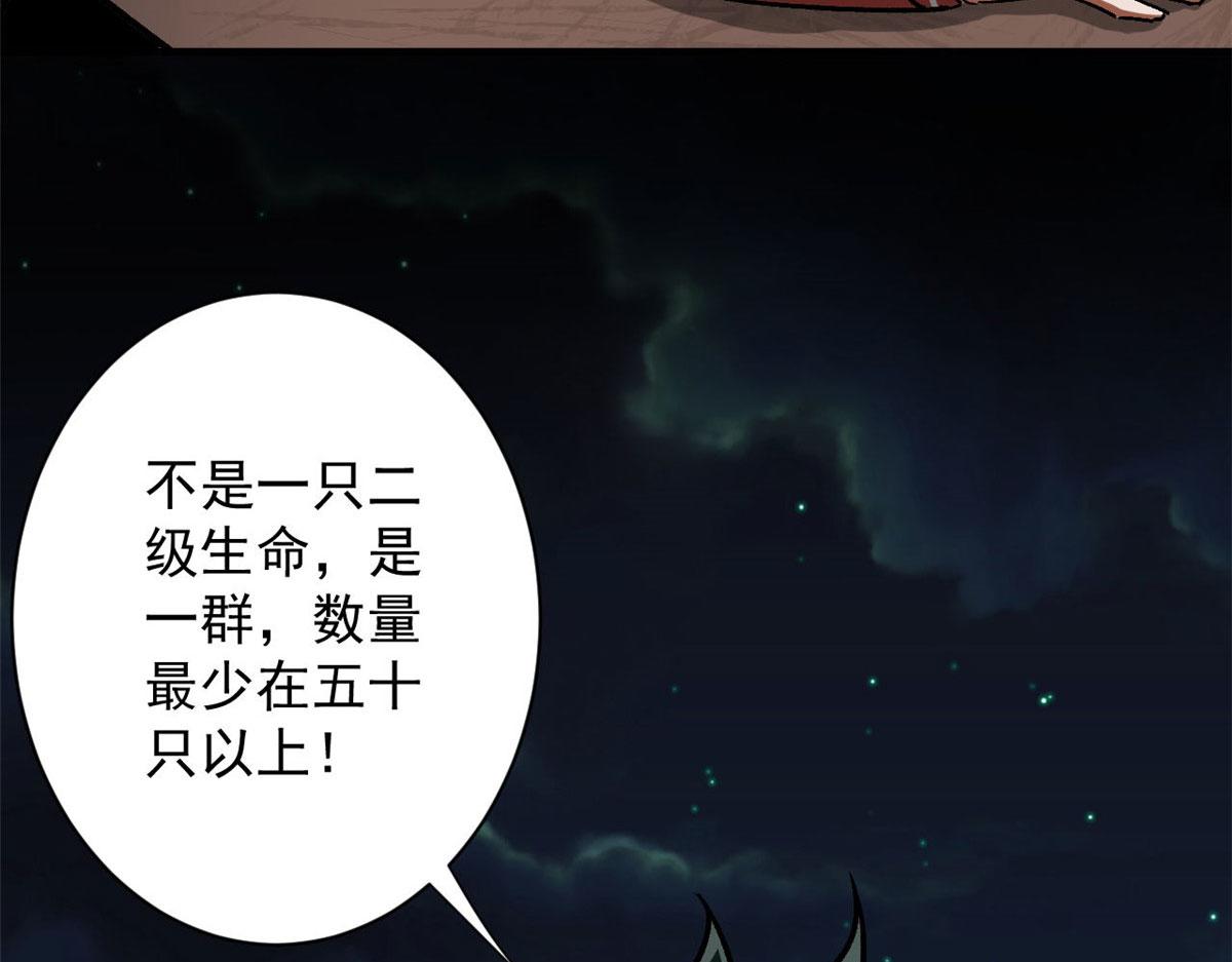 81 猪群112