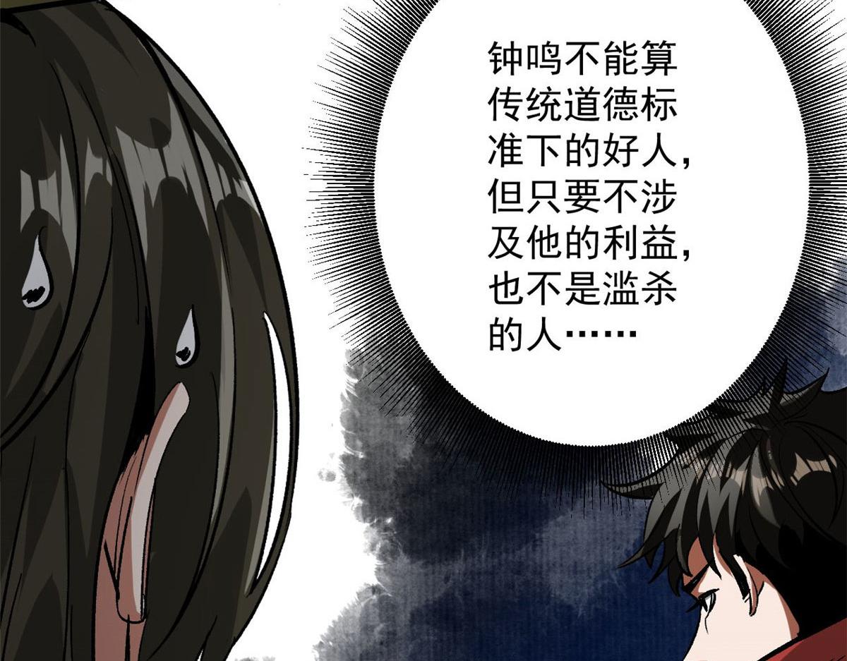 81 猪群14