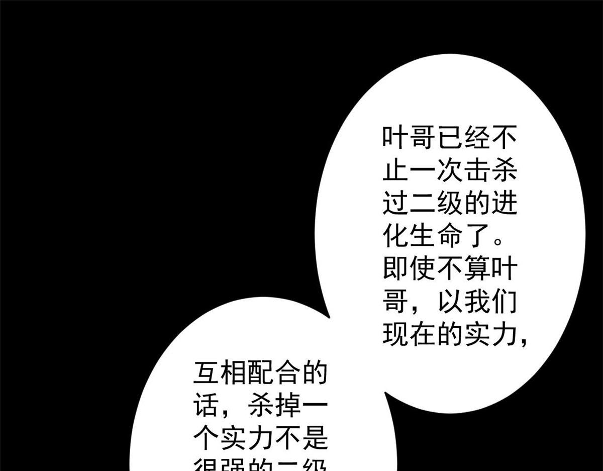 81 猪群109
