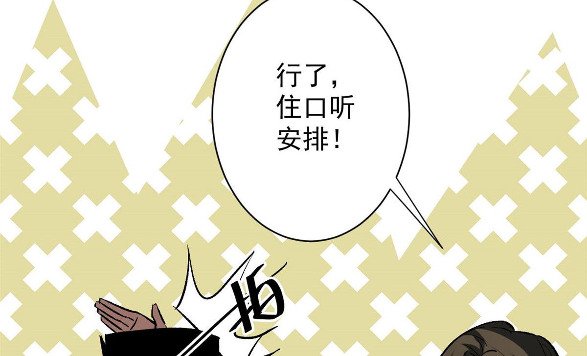 73 风舞者69