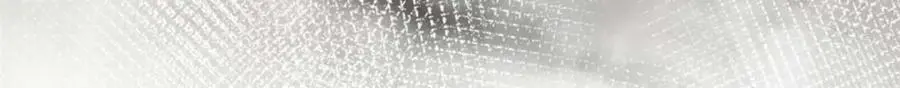 202 新的尸王123