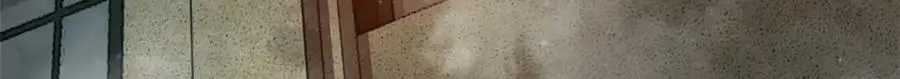 197 激活！血统水晶39