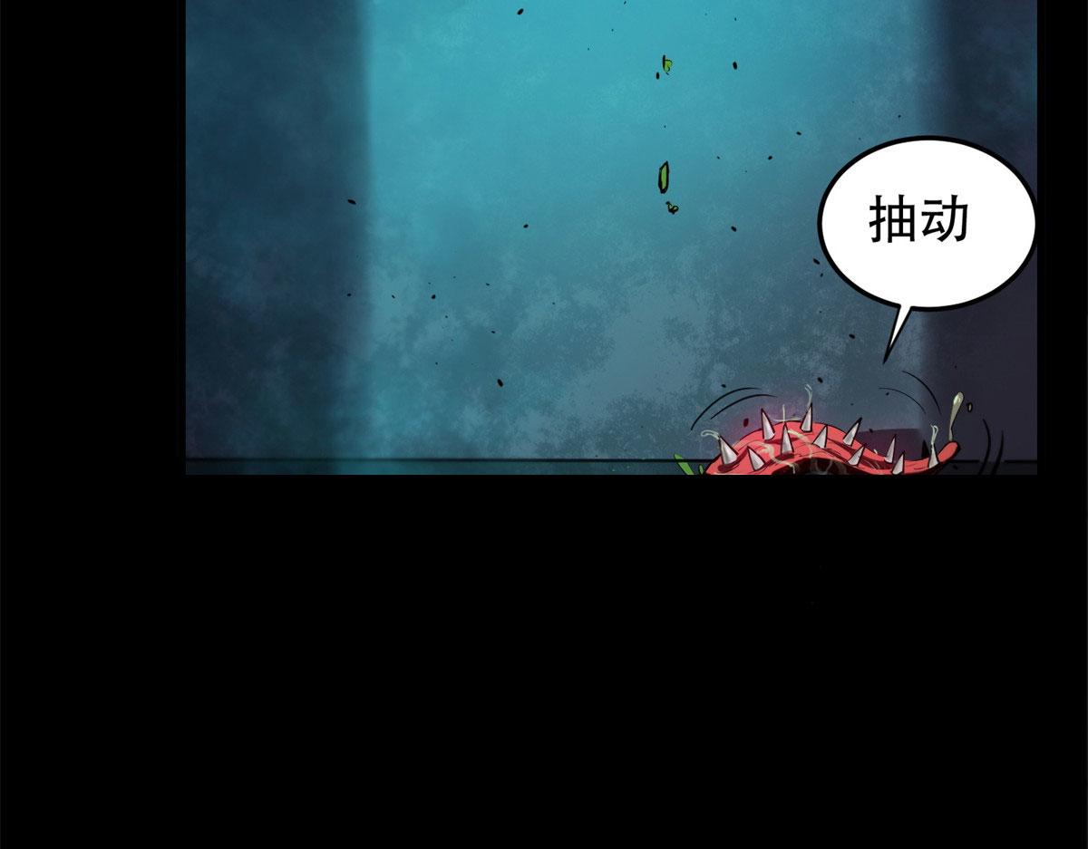 13 铁臂丧尸！43