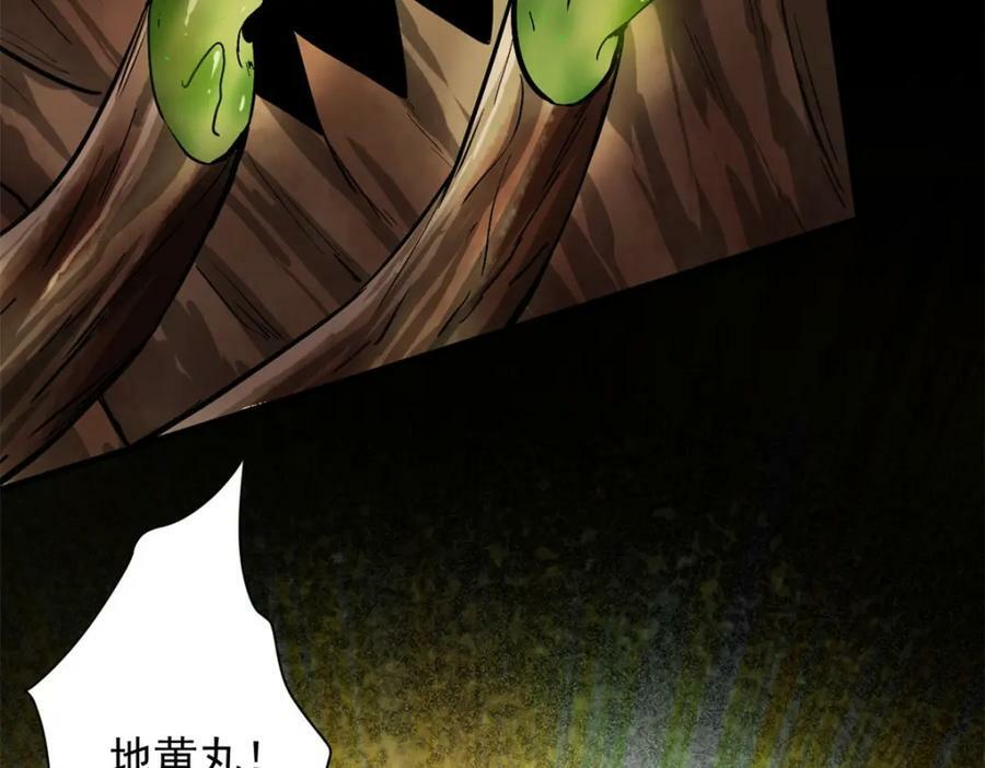 149 虚伪鬼树113