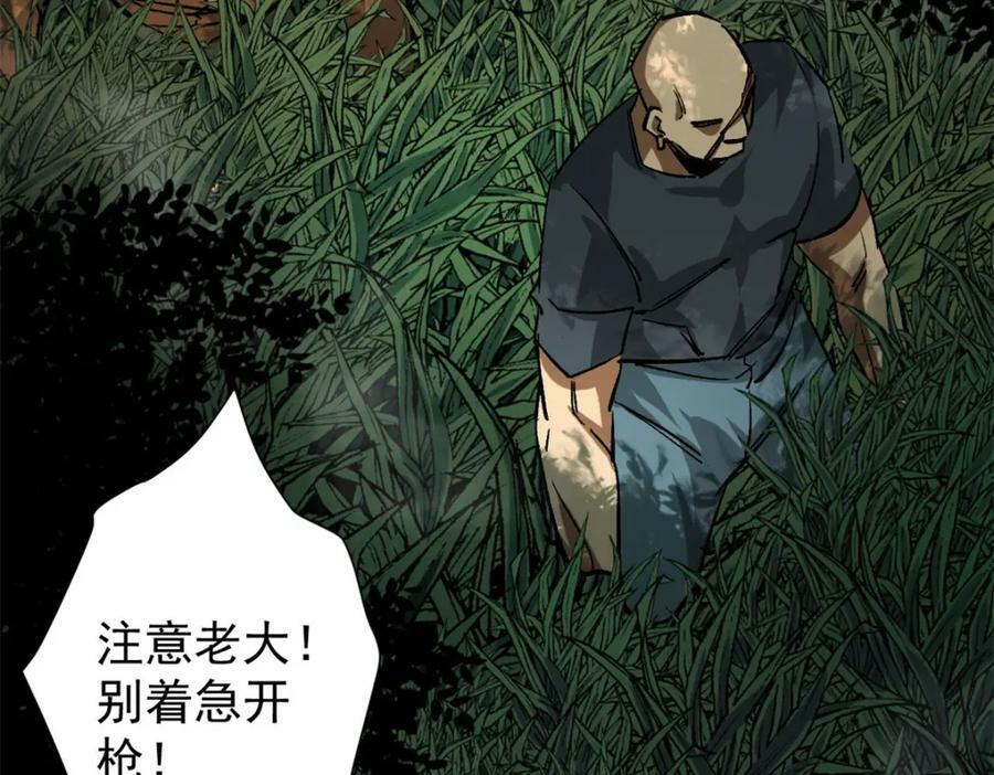165 低级巨人血统119