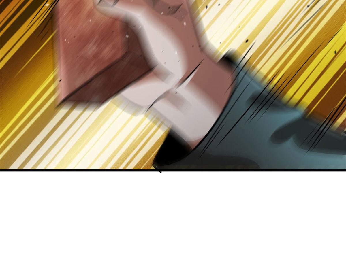 81 猪群5