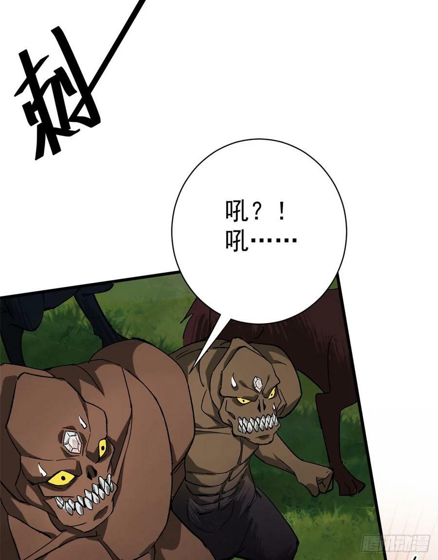 141 云顶的势力28