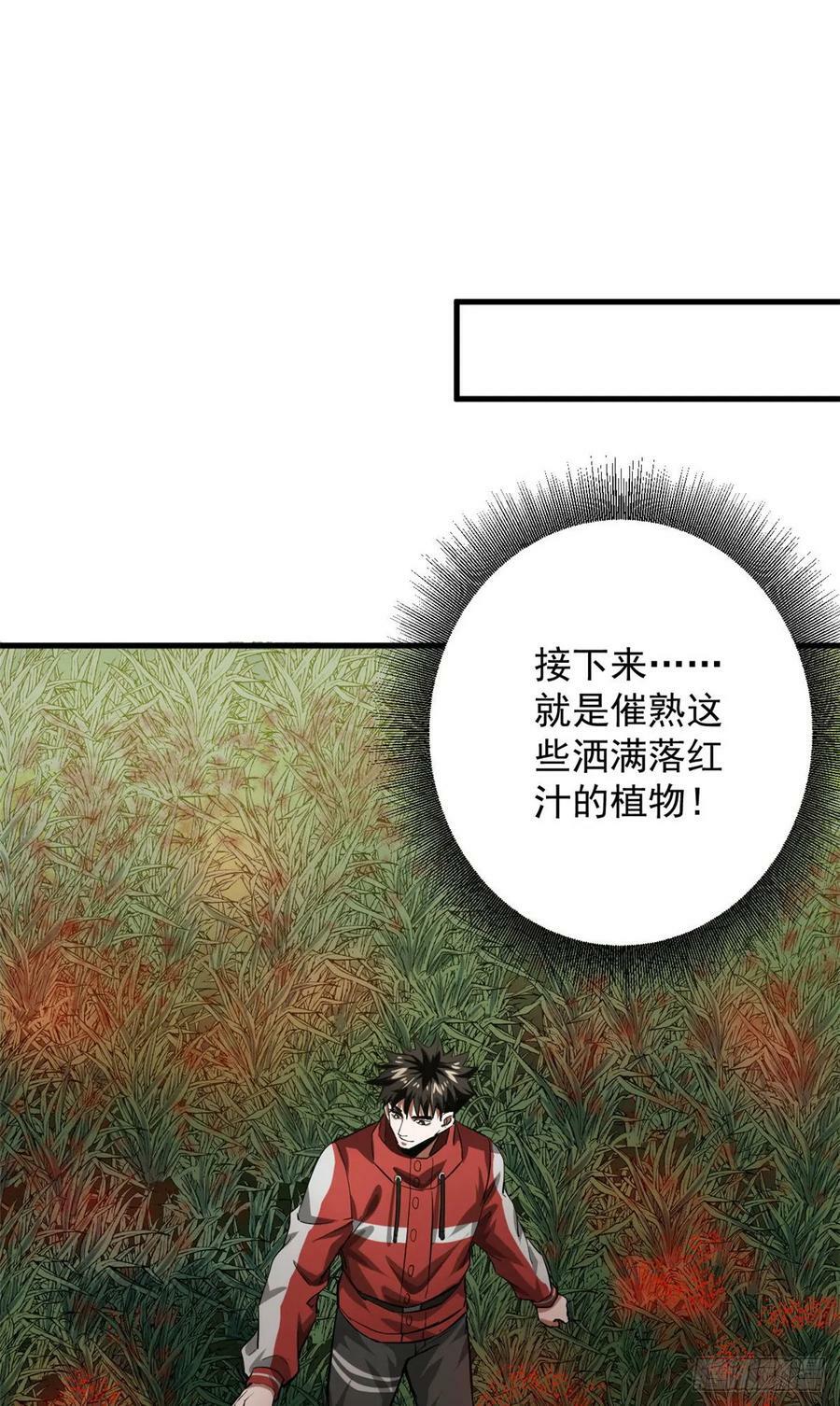 137 落红汁38