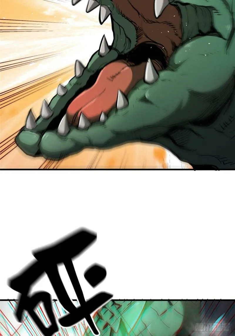 37 守卫兽51