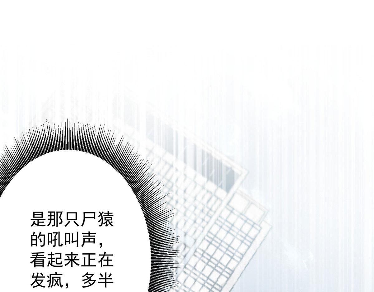 52 发狂的尸猿116