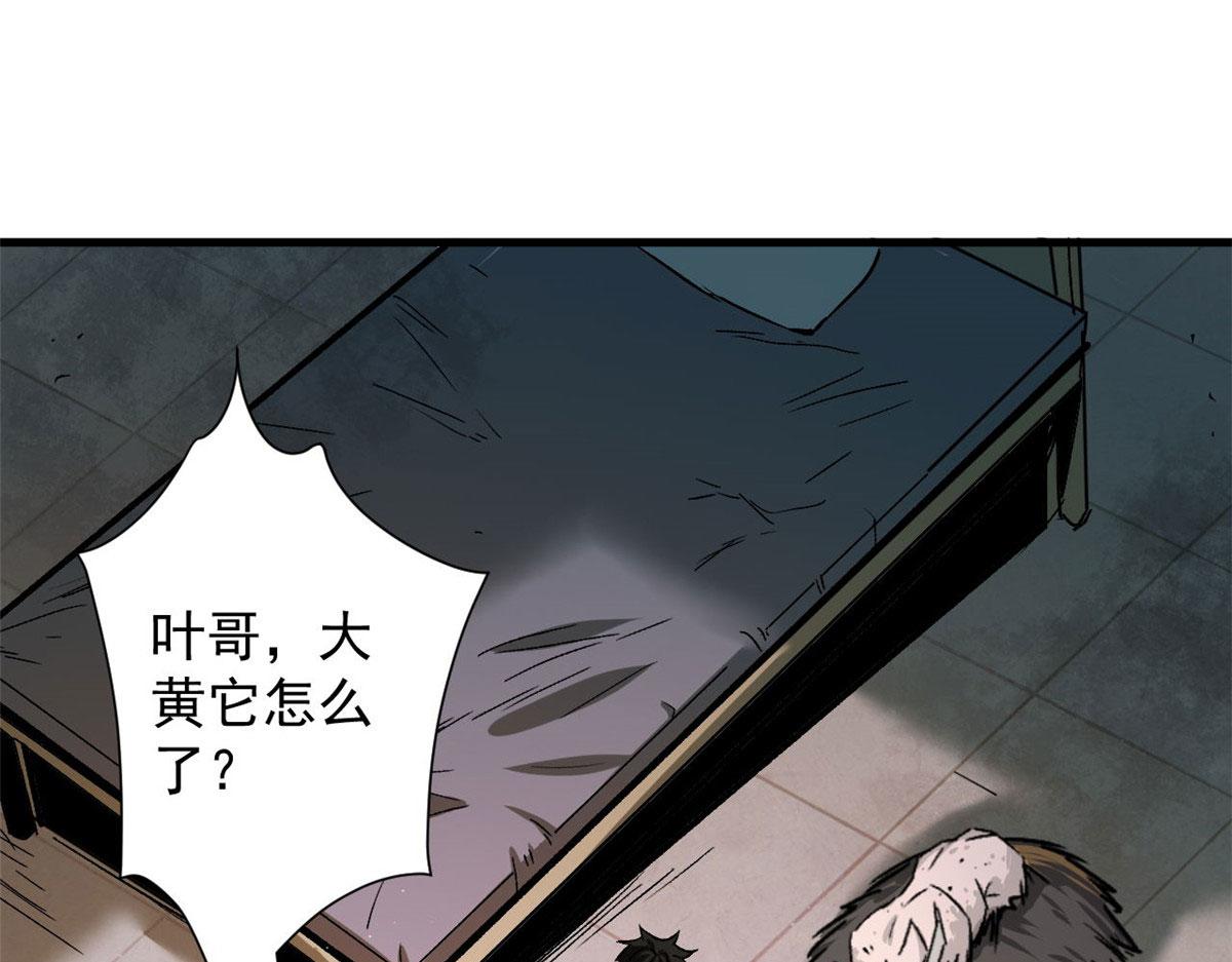 86 二阶进化20