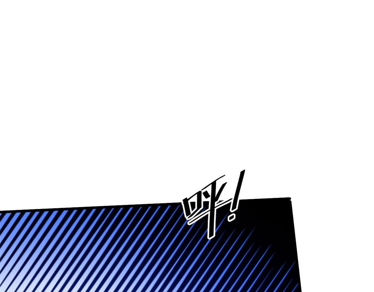 81 猪群11