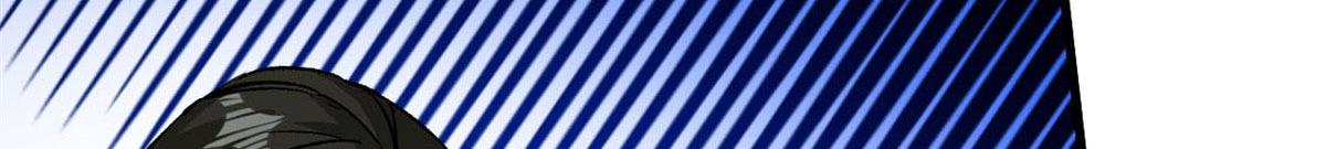 81 猪群12