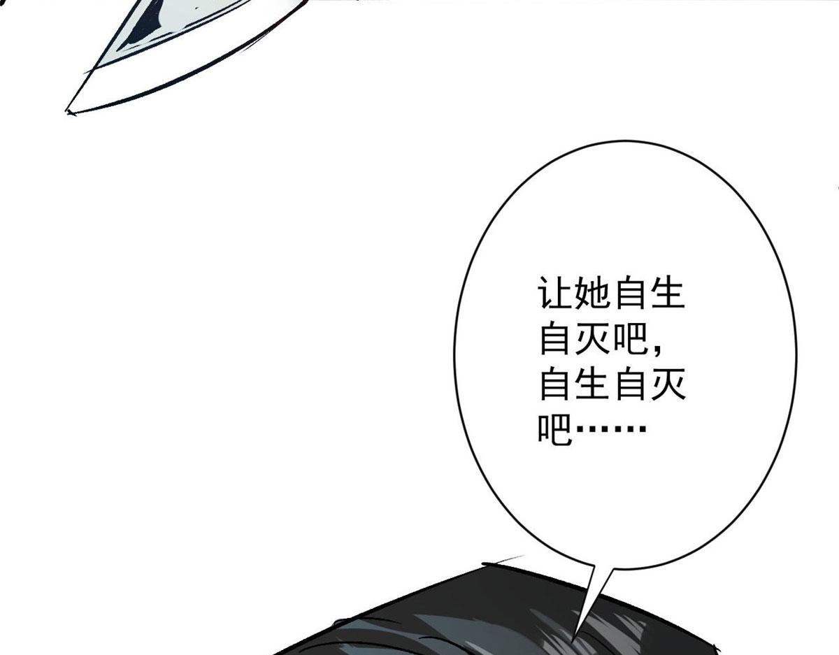 81 猪群61