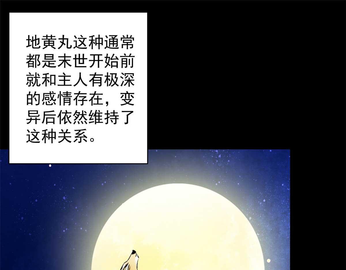 116 乱中求胜！4