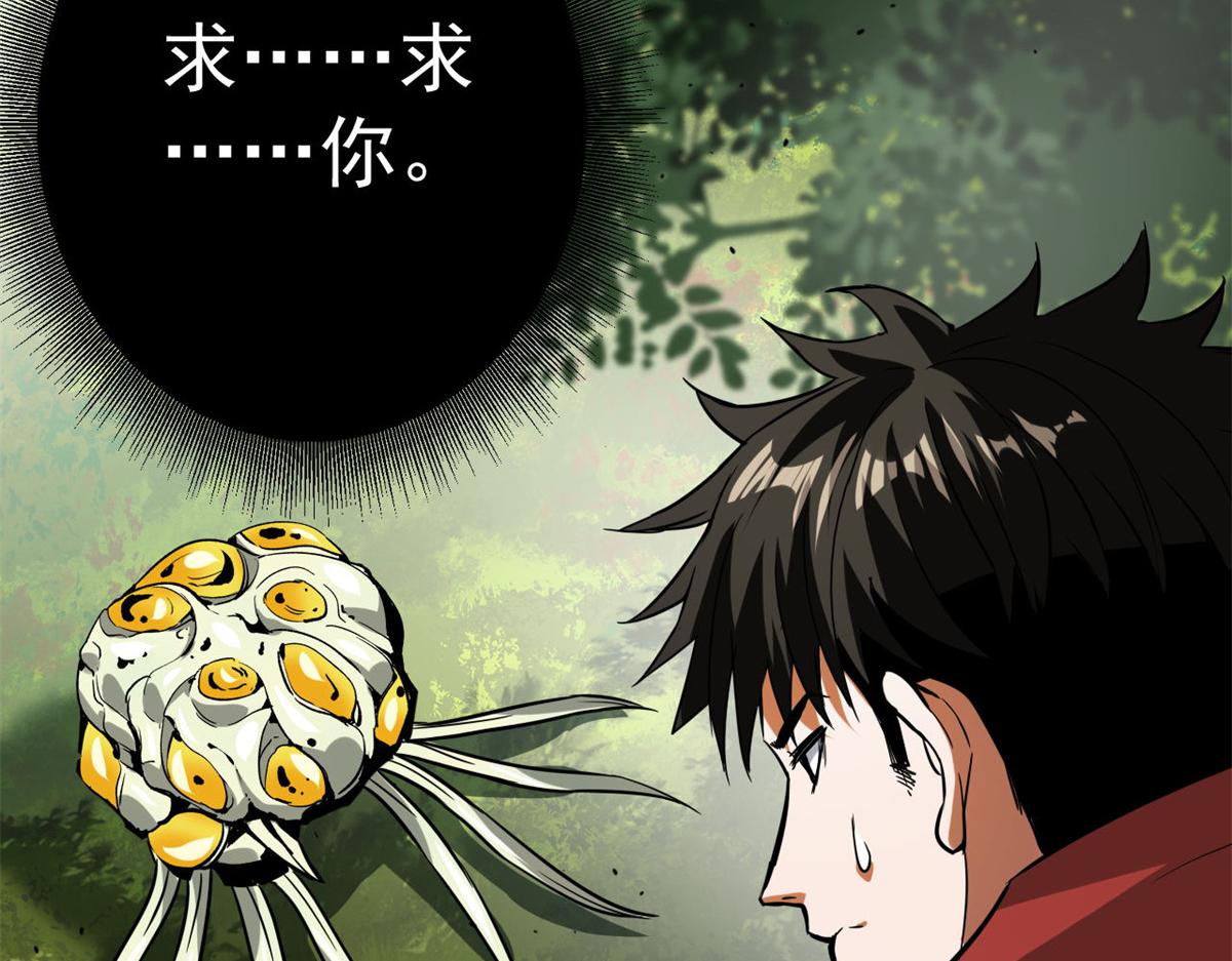 110 乖115