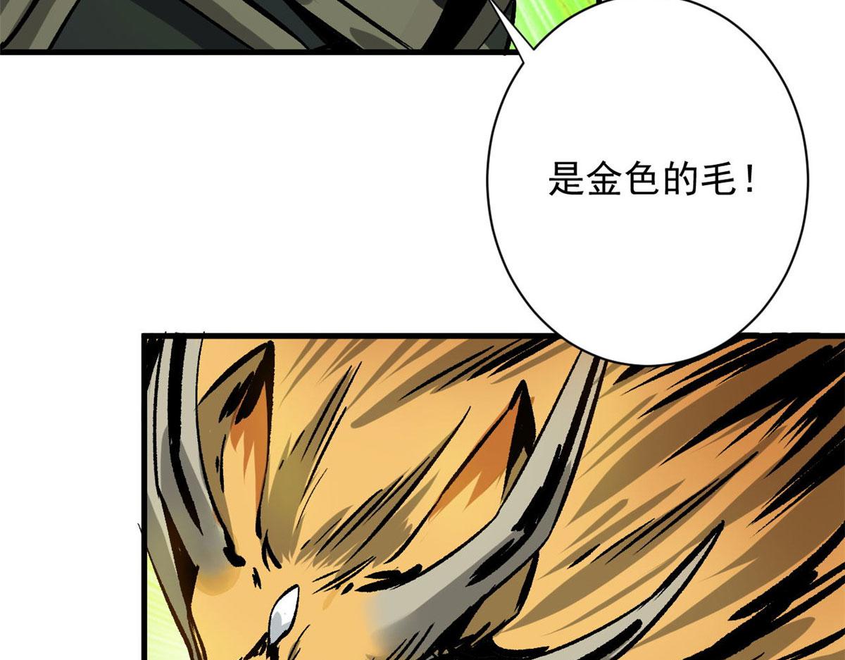 86 二阶进化24