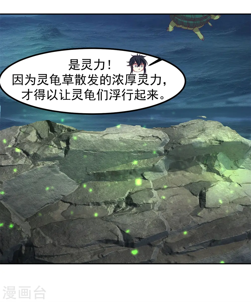 第334话 灵龟果10
