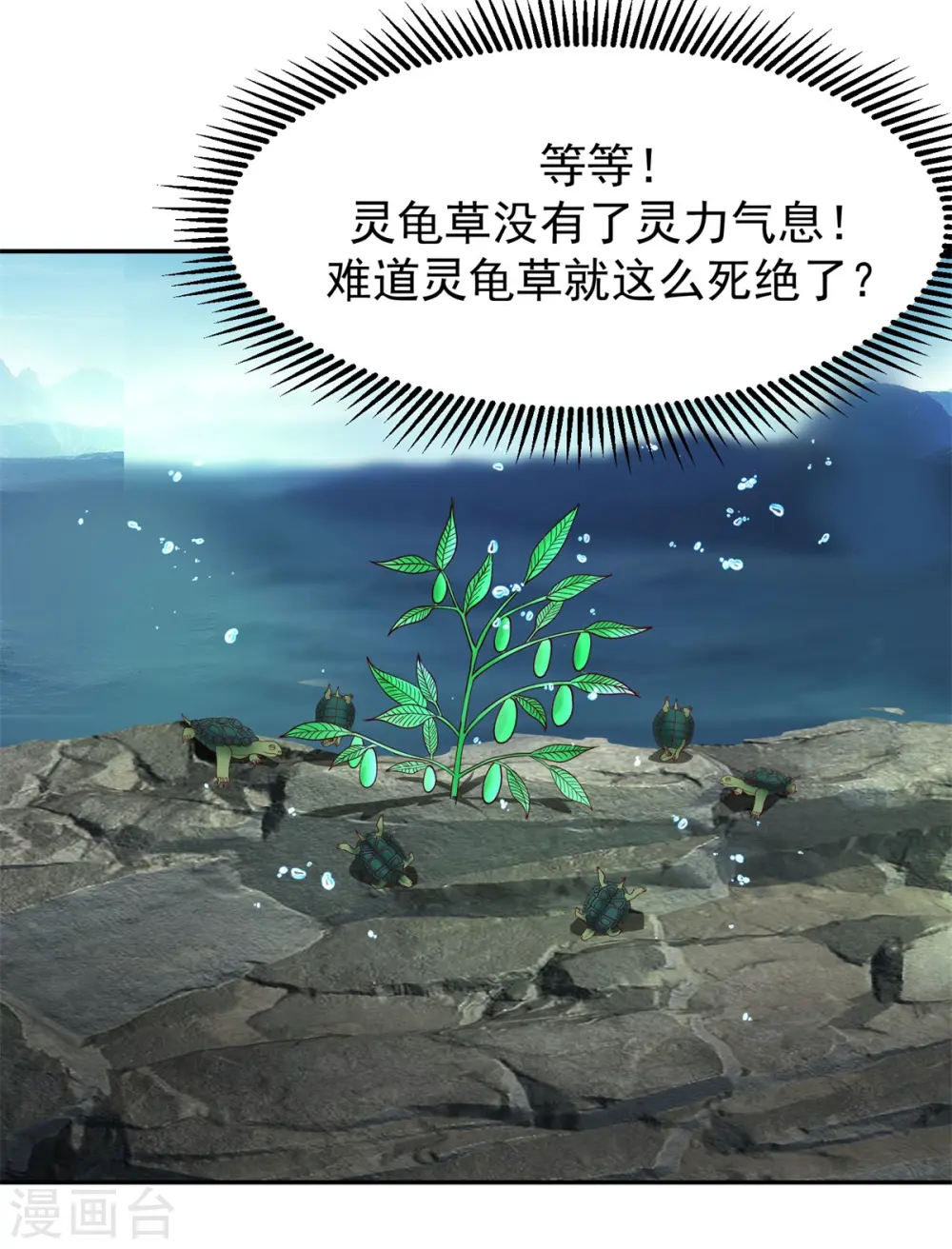 第334话 灵龟果20