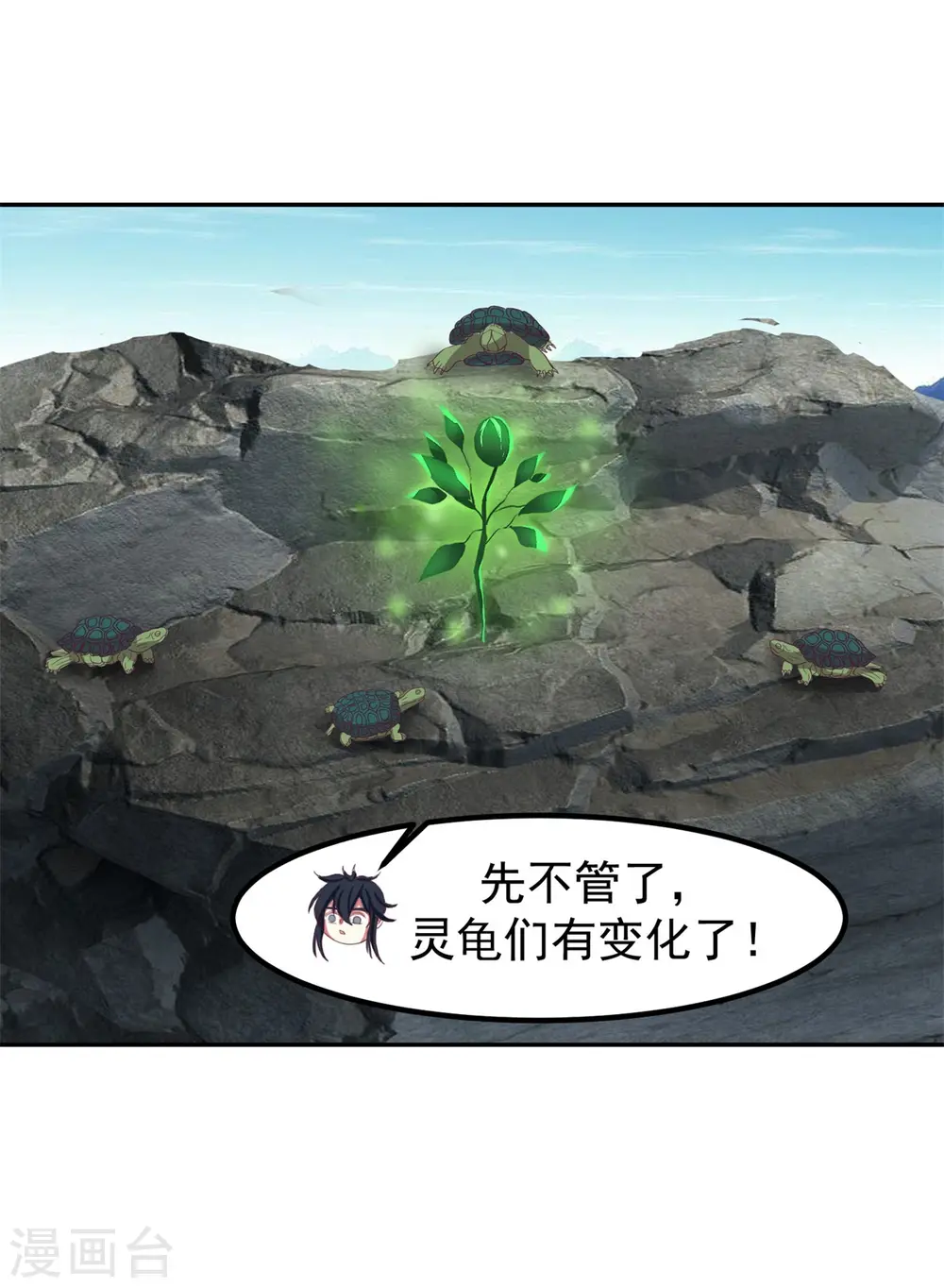 第334话 灵龟果8