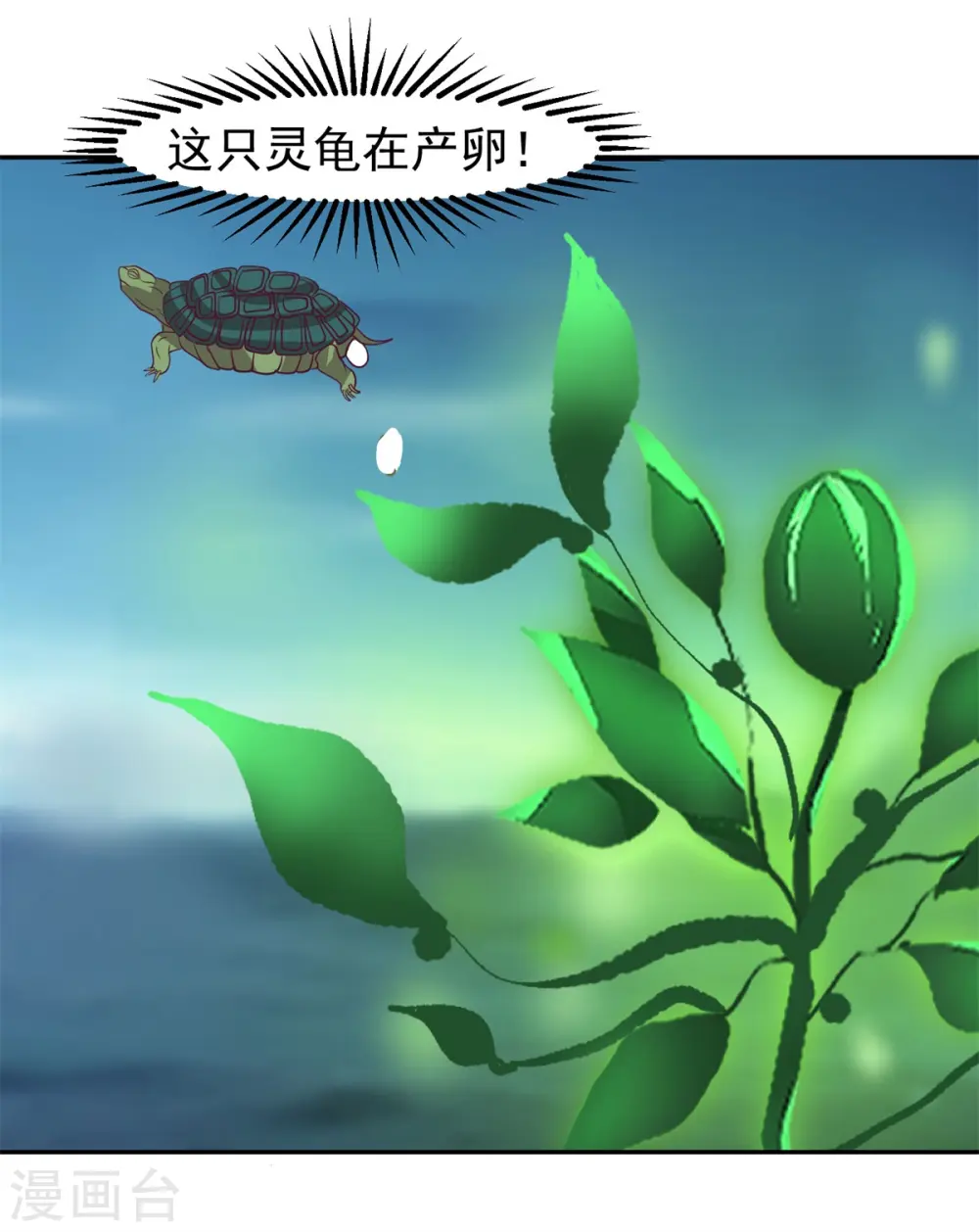 第334话 灵龟果13