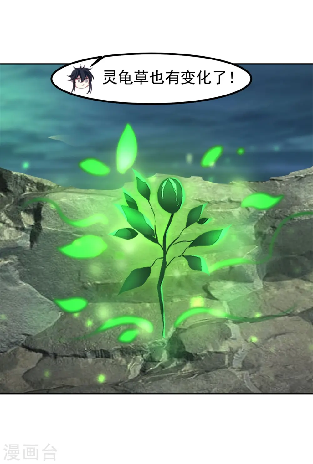 第334话 灵龟果11