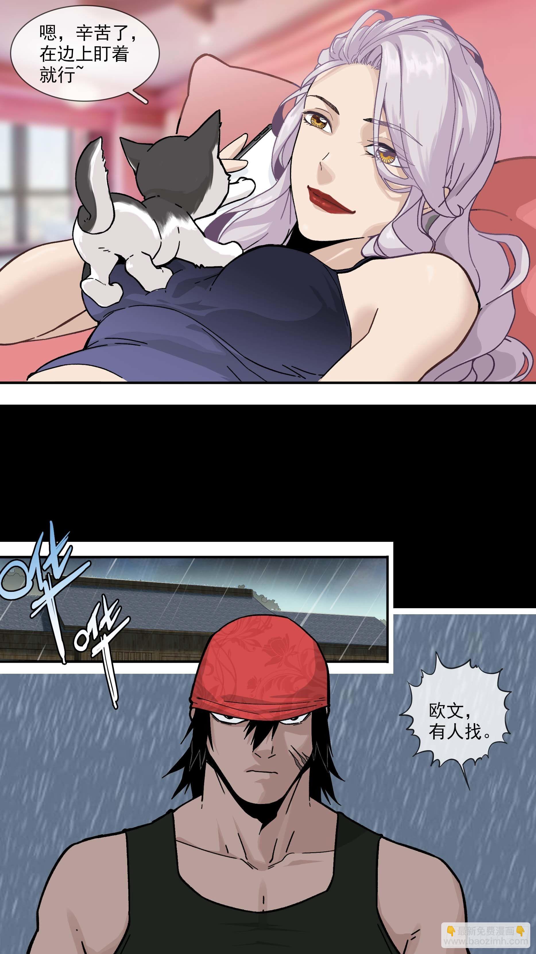 【白】02411