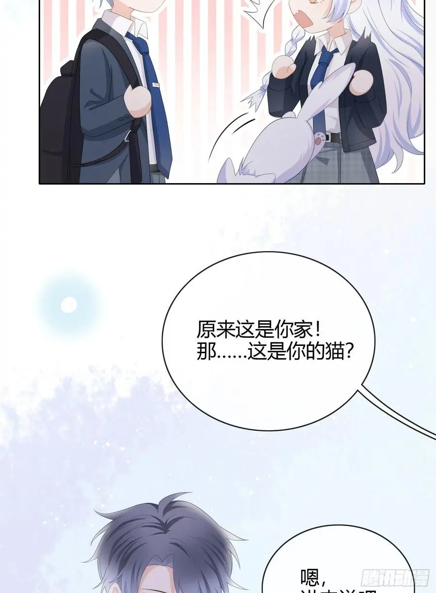 绿茶终结者42