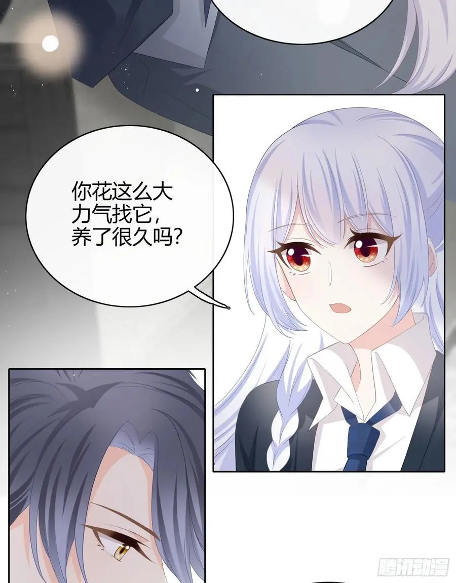 幸福来得太突然了13