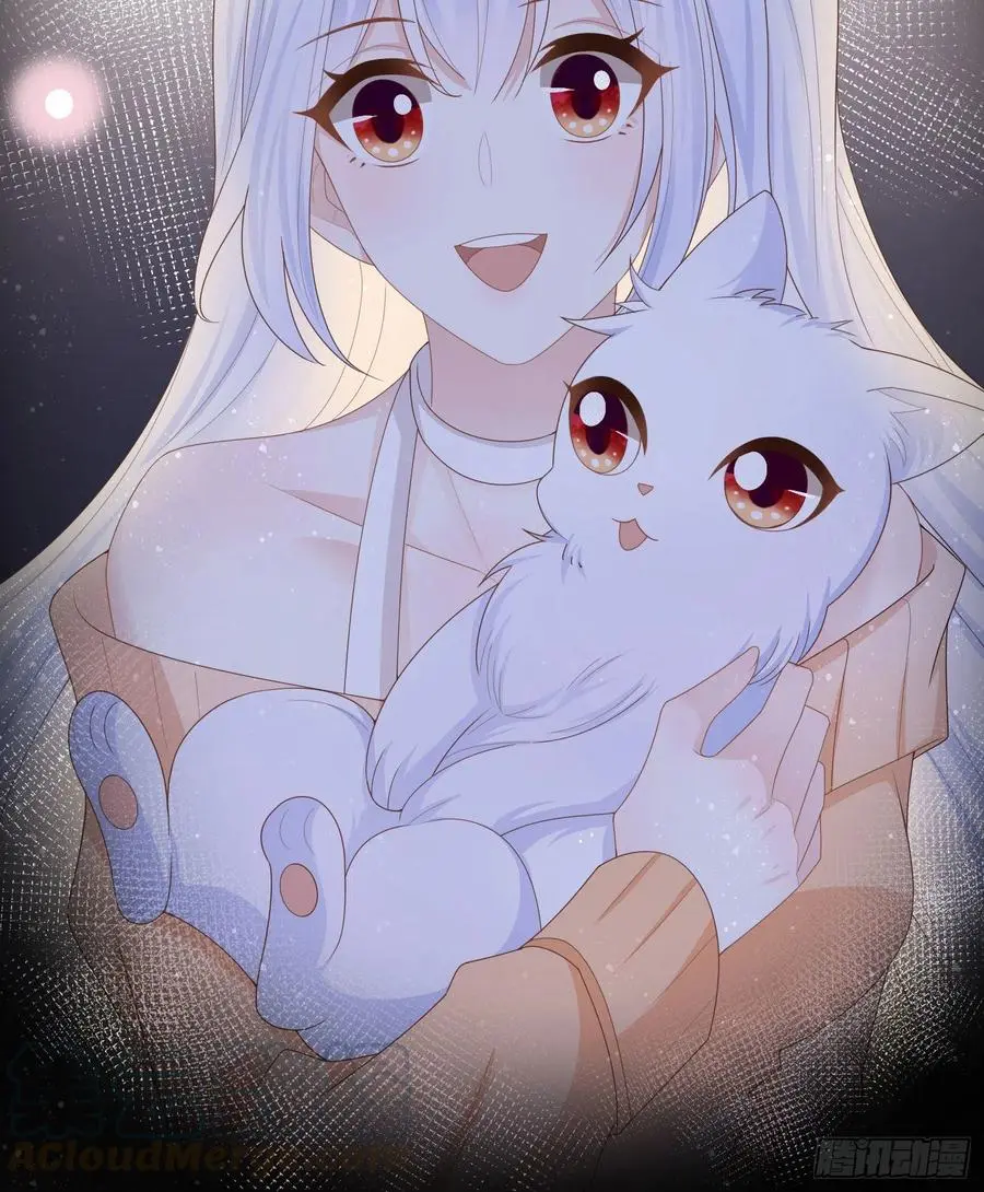 烟火刹那44