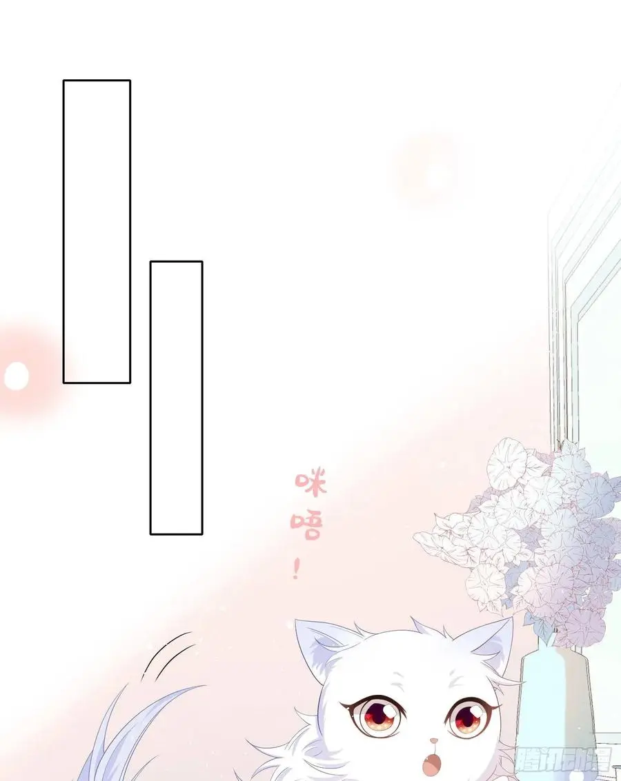 篮球队猛男集体落泪34
