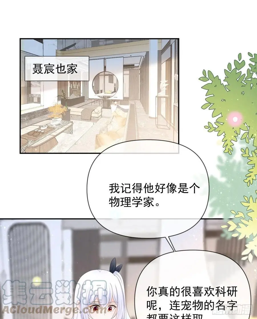 薛定谔的猫3