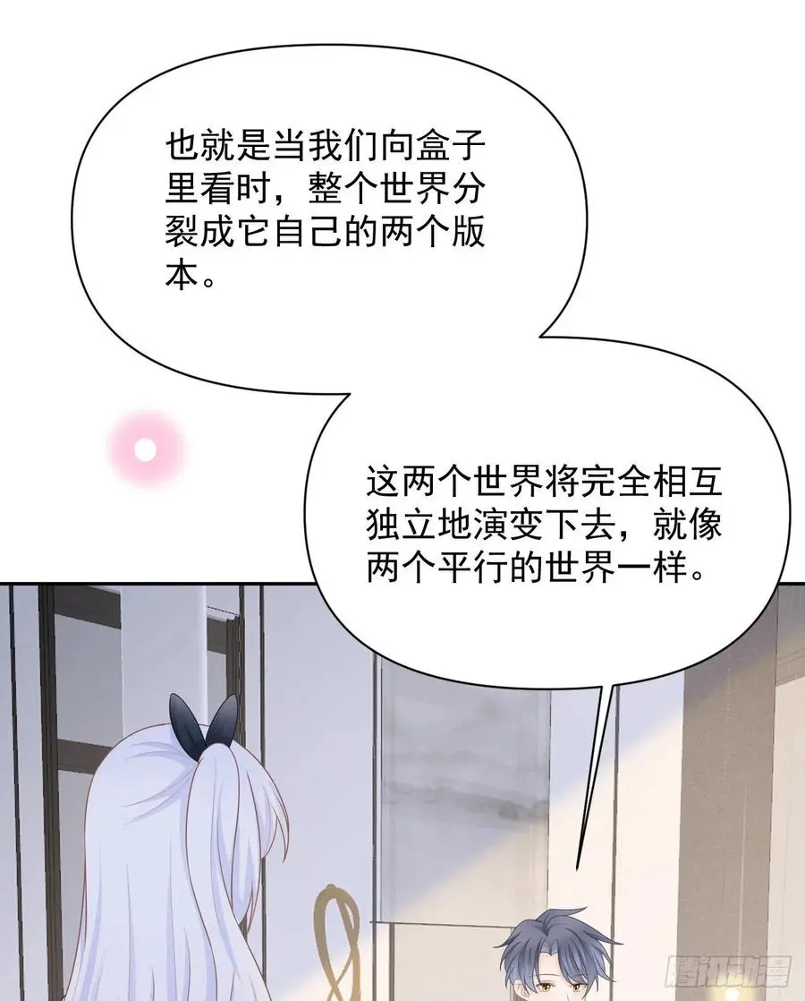 薛定谔的猫29