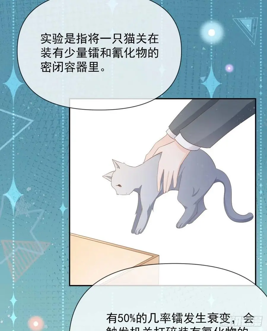 薛定谔的猫22