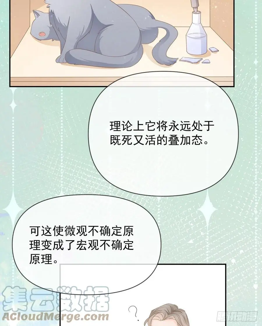 薛定谔的猫24