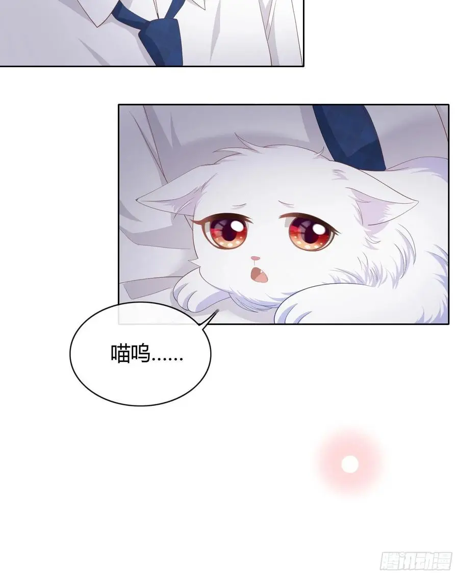 绿茶终结者22