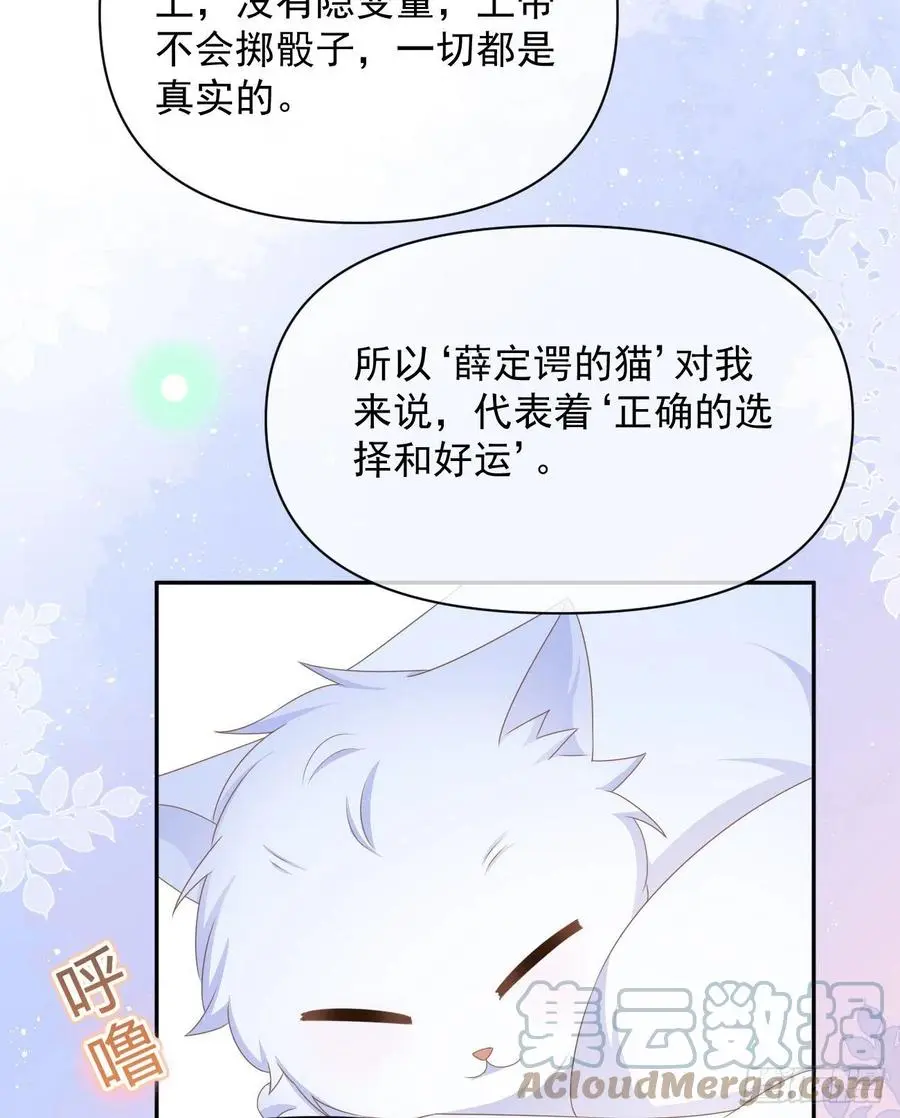 薛定谔的猫33